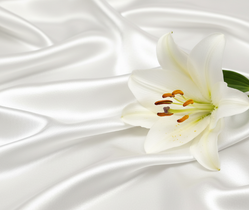 Cadeau, Rituel et Protection - Secret de Cristaux