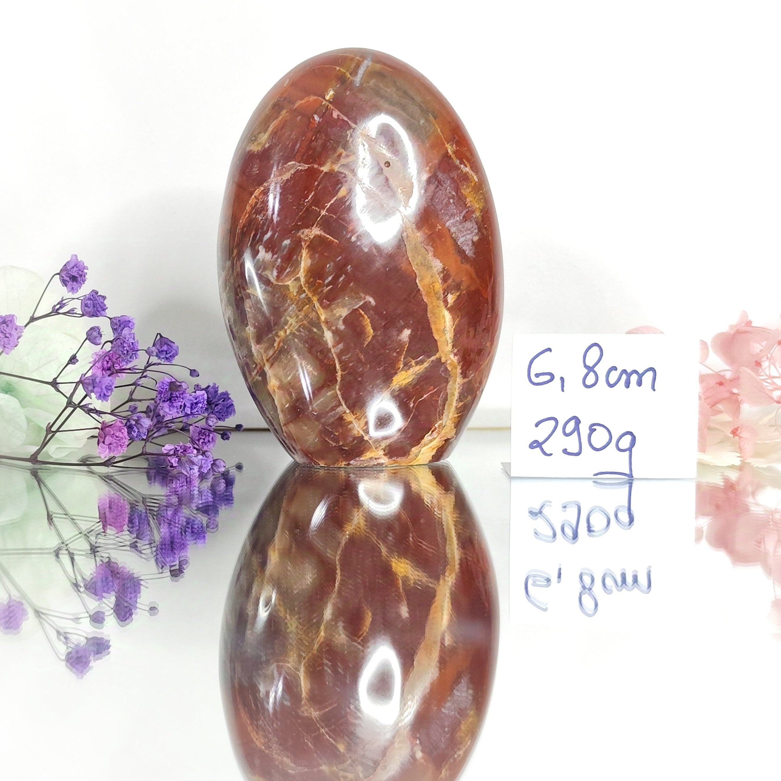 bloc de bois fossile