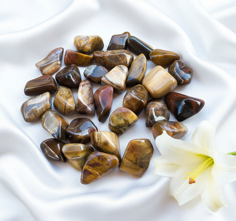 bois fossile pierre roulée 