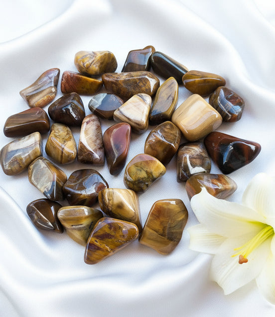 bois fossile pierre roulée 