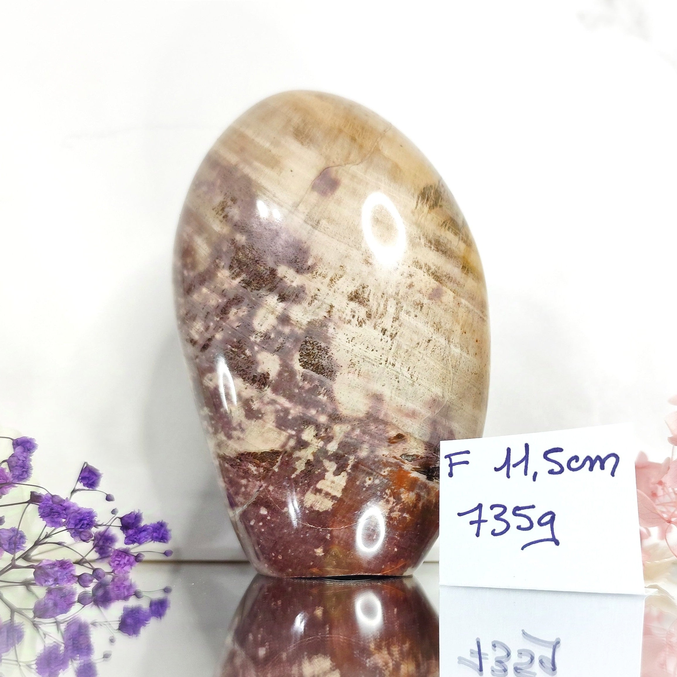 grosse pierre de bois fossile