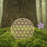 fleur de vie pour purifier