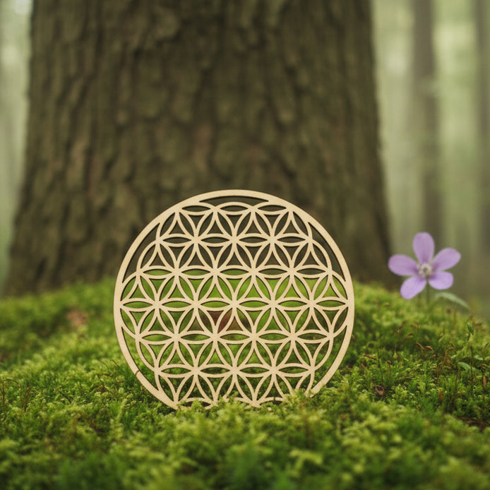 fleur de vie pour purifier