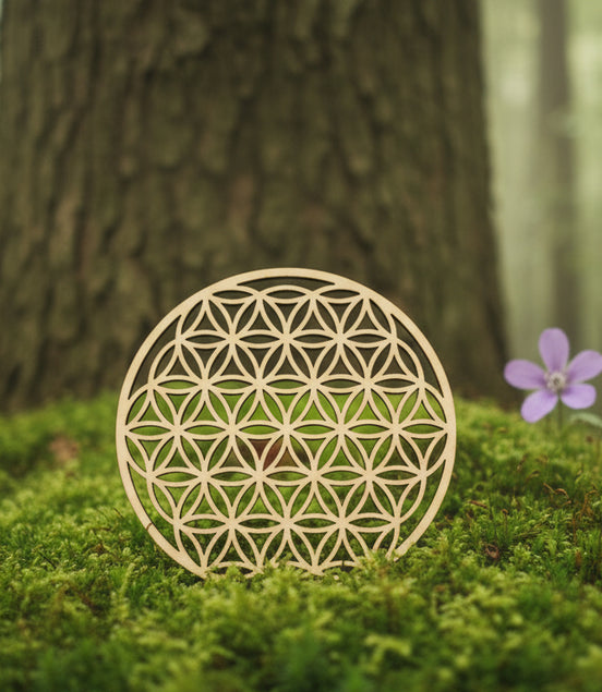 fleur de vie pour purifier