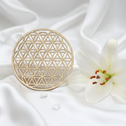 Fleur de vie en bois pour purifier recharger 