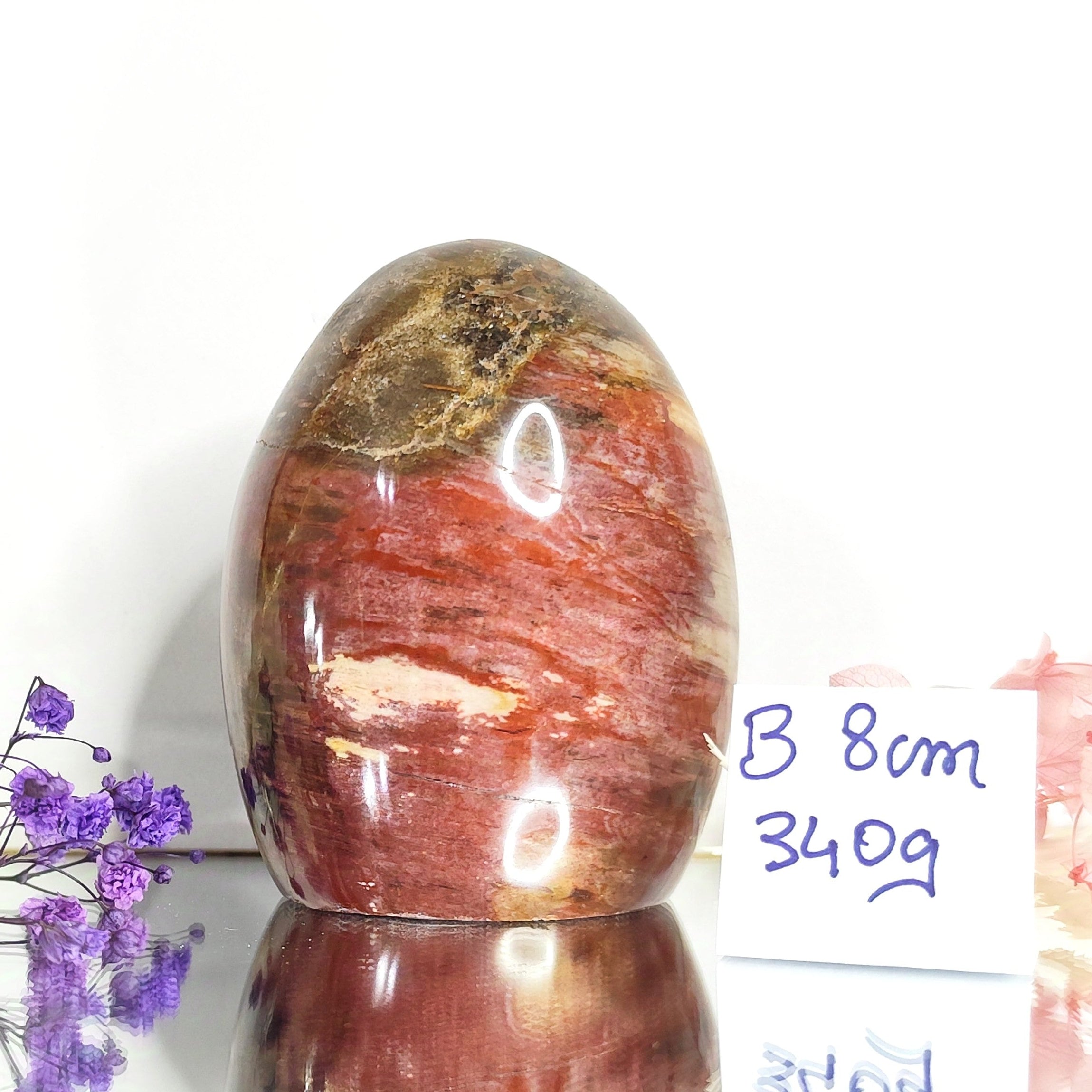 bois silicifié a poser