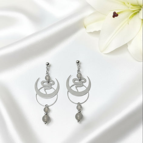 boucles d oreilles argenté serpent