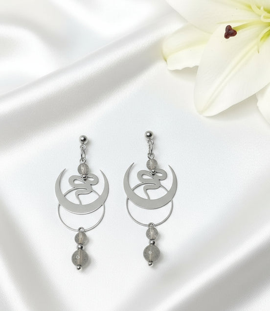 boucles d oreilles argenté serpent