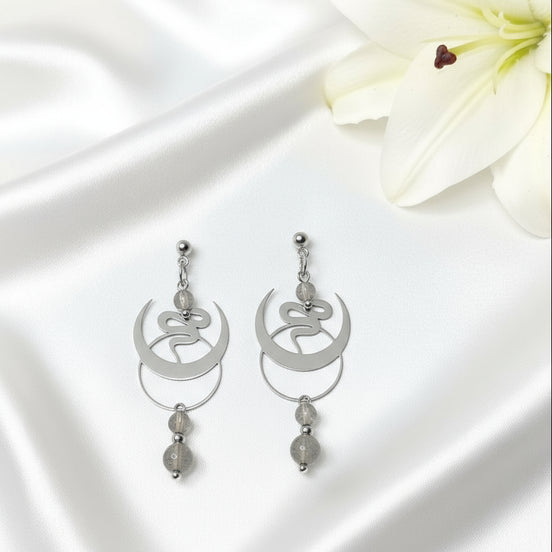 boucles d oreilles argenté serpent