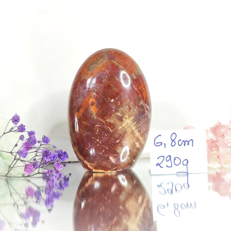 Pierre Bois silicifié AA, roulée et bloc a poser