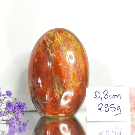 bois fossile rouge a poser