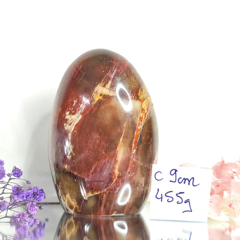 pierre de bois fossilisé