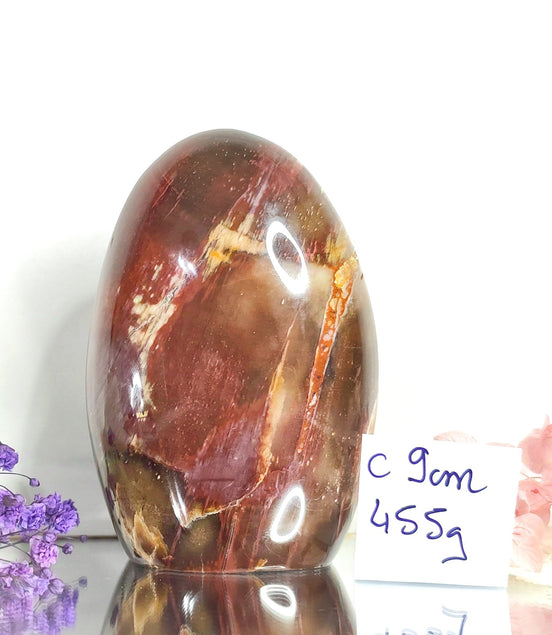 pierre de bois fossilisé