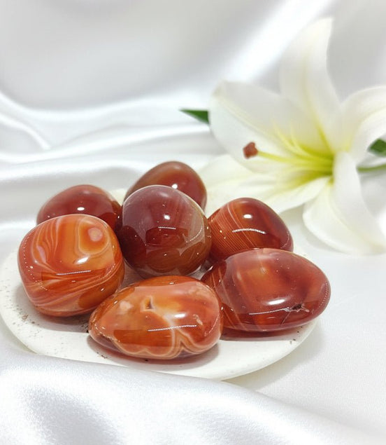 Galet, roulées, oeuf en Cornaline, pierre de Joie & Vitalité - Secret de Cristaux