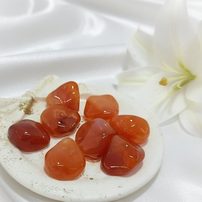 Galet, roulées, oeuf en Cornaline, pierre de Joie & Vitalité - Secret de Cristaux