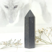 Pierre de Shungite roulée, boule, pyramide et pointe au choix - Secret de Cristaux