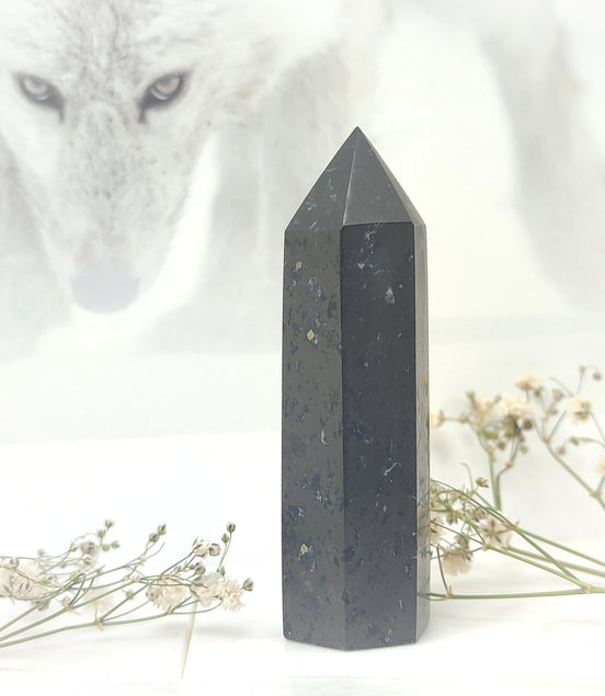 Pierre de Shungite roulée, boule, pyramide et pointe au choix - Secret de Cristaux