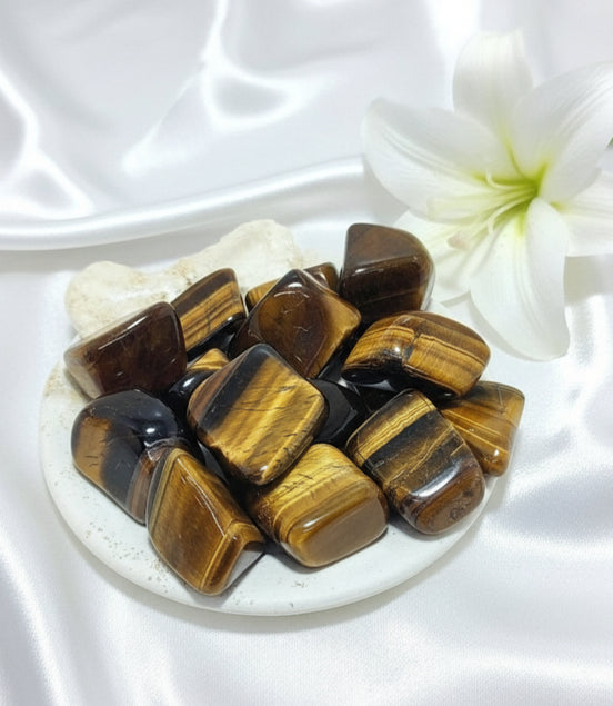 Pierre naturelle Oeil de tigre qualité +2/3cm - Secret de Cristaux